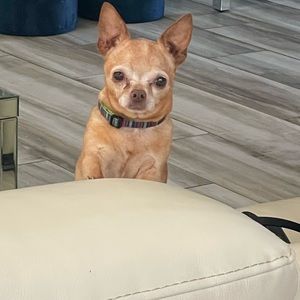 Meet your Posher, Gaby